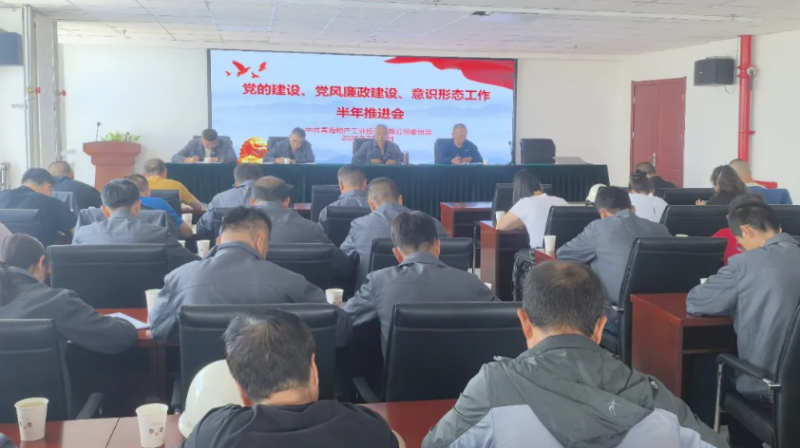 工投公司黨委召開黨的建設、黨風廉政建設、意識形態工作半年推進會