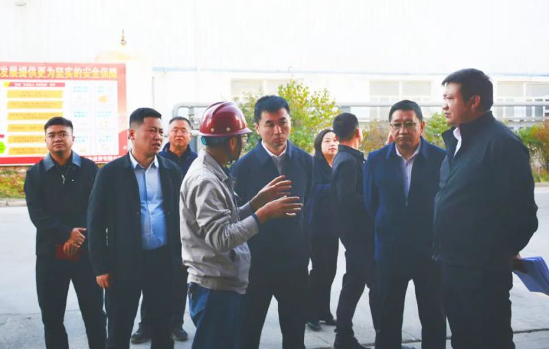 大通縣委副書記、縣長馬明旭一行蒞臨工投公司調(diào)研指導(dǎo)